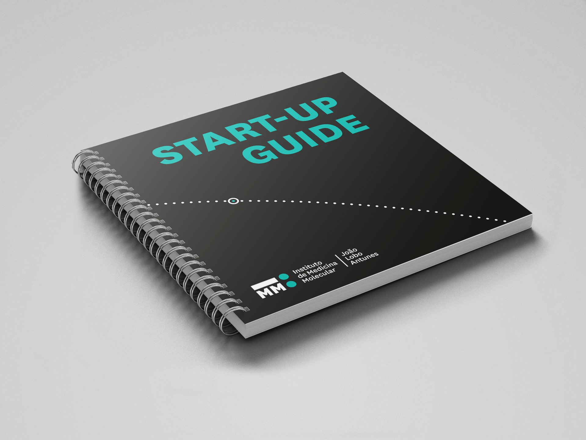 iMM Start-Up Guide